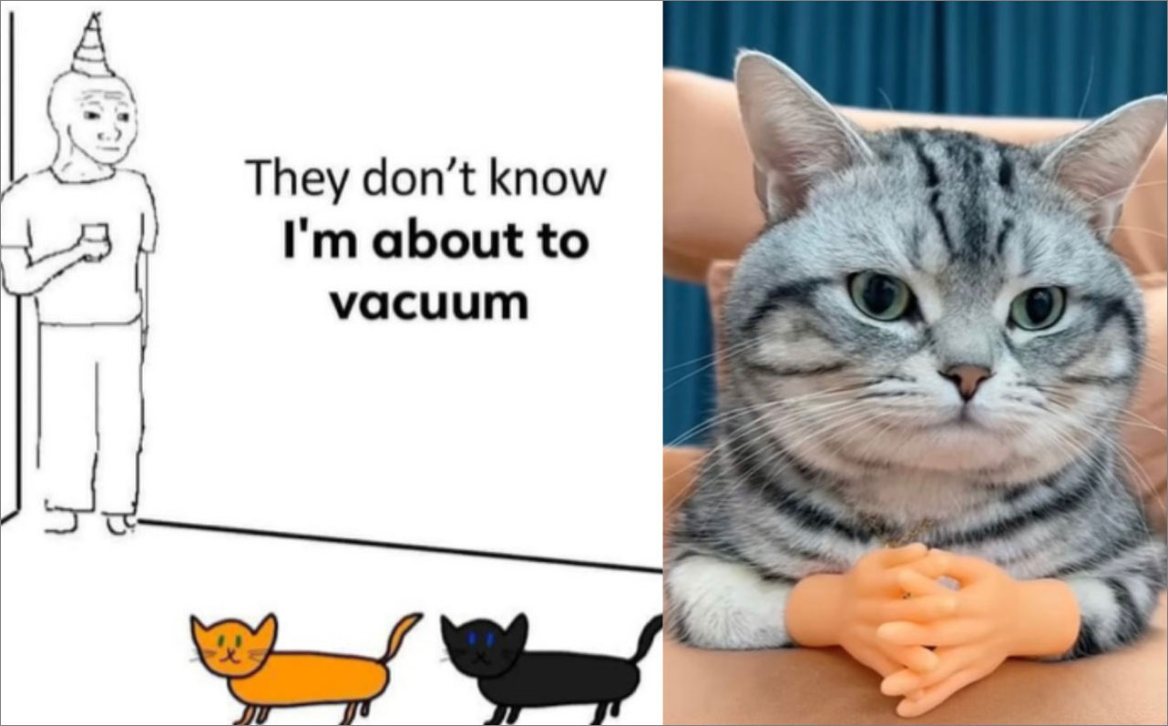 Left: A comic of a man standing in a corner looking at two cats saying, “They don’t know I’m about to vacuum.” Right: a photo of a cat wearing rubber human hands folded together.